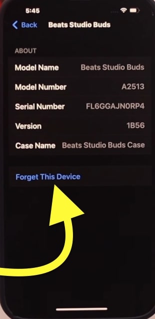 Forget Device Beats TWS
