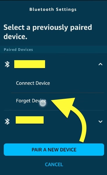 Forget Bluetooth Device on Alexa