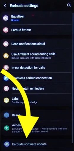 earbuds software update