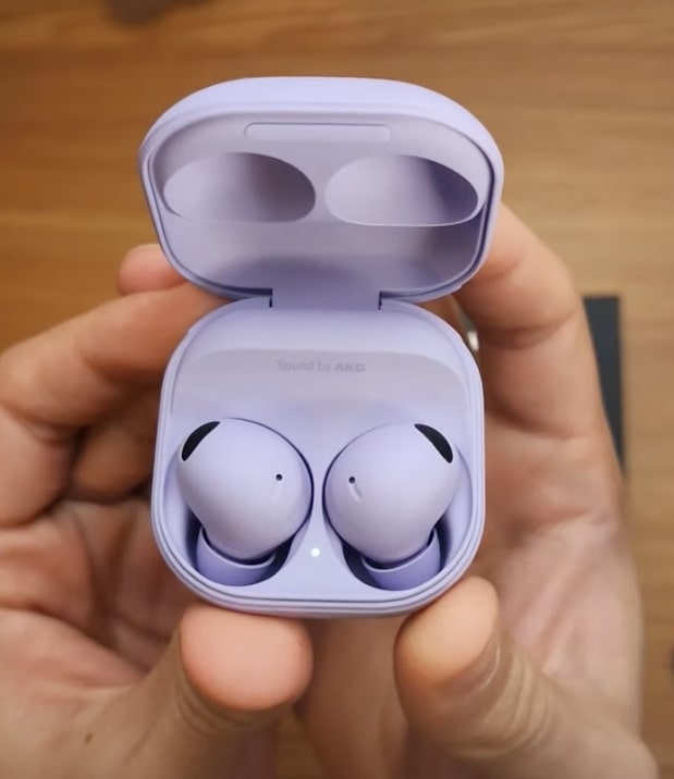 galaxy buds in case