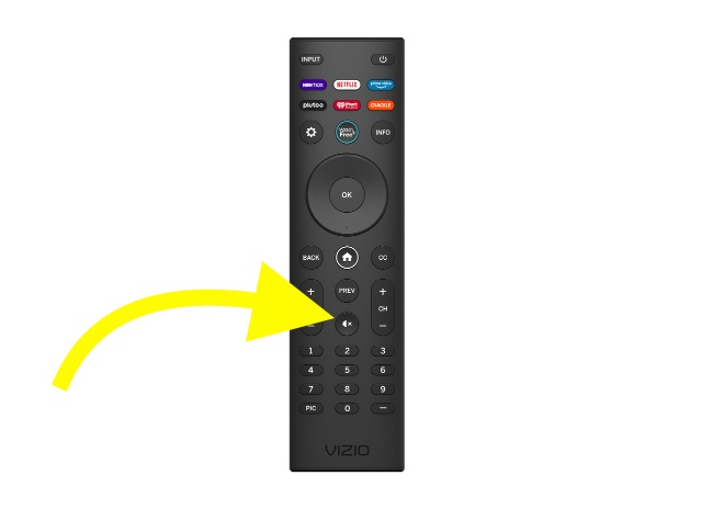 vizio tv remote mute button